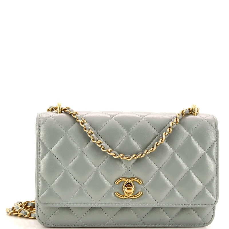 Luxury bags with chain strapsPearl Crush Wallet on Chain Quilted Iridescent Lambskin